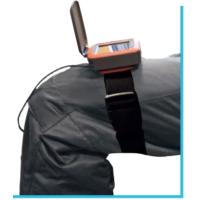 remen-fiksator-dlya-krepleniya-ehkholota-calypso-na-nogu 1