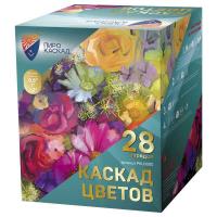 2019_004035-big-file