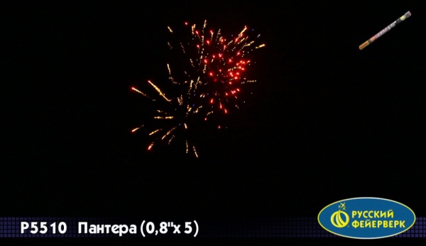 rimskaya-svecha-pantera-2