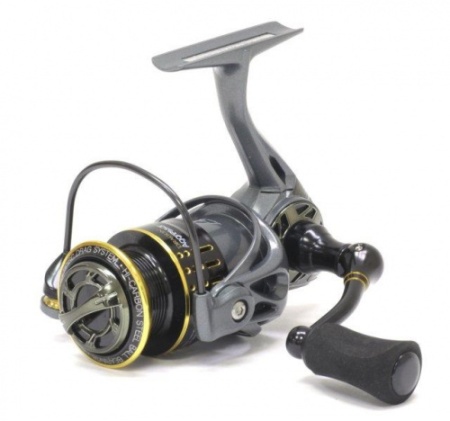 katushka-dragon-aggressor-fd